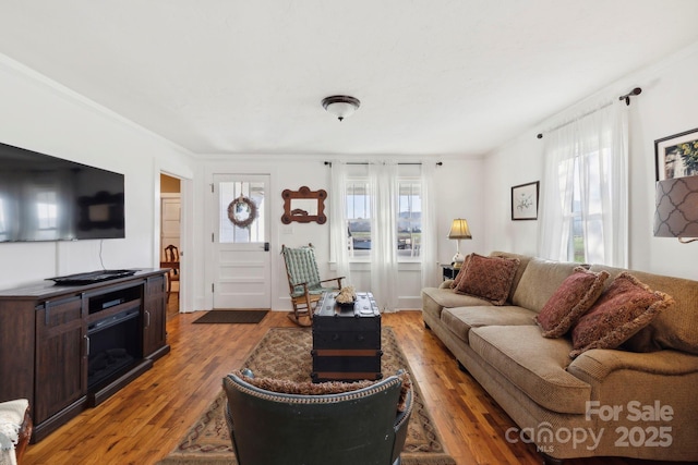 living room with plenty of natural light, crown molding, and hardwood / wood-style floors