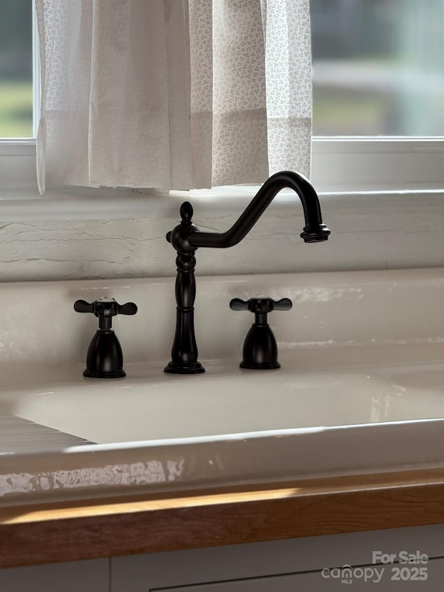 interior details featuring sink