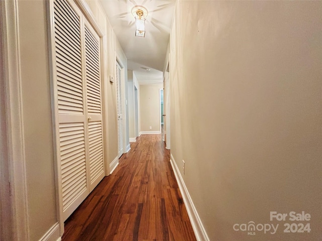 hallway featuring dark wood-type flooring