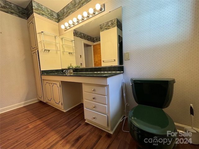 bathroom with vanity and wood-type flooring