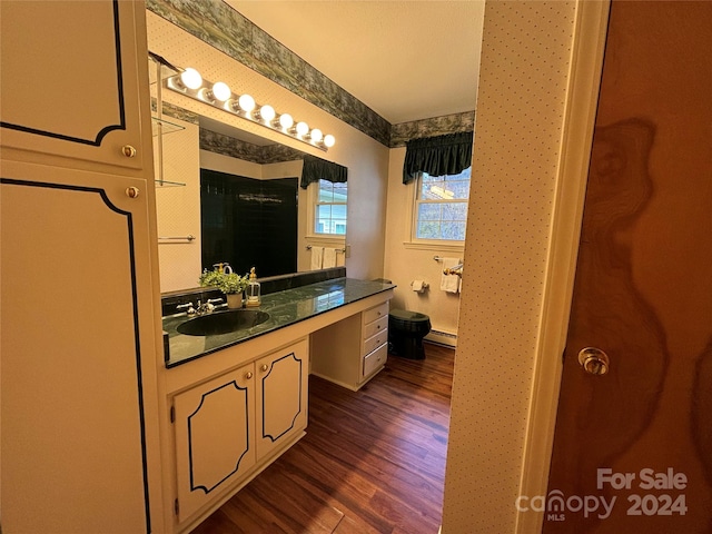 bathroom with vanity, wood-type flooring, and a baseboard heating unit