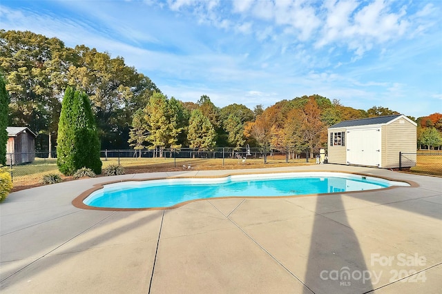 view of swimming pool with a patio area and a shed