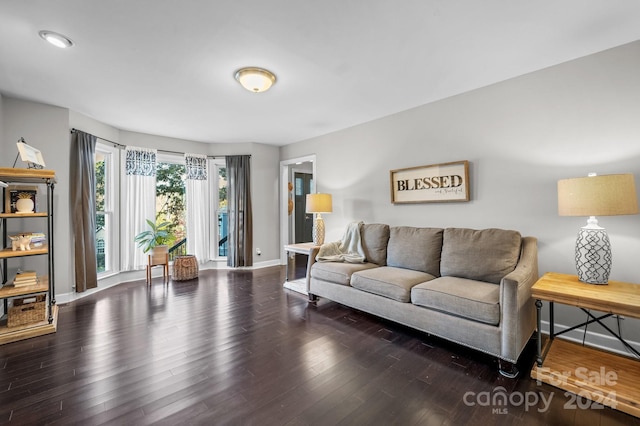 living room with dark hardwood / wood-style flooring