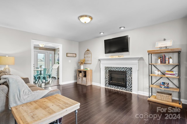 living room with a tiled fireplace and wood-type flooring