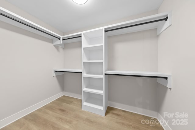 spacious closet with light hardwood / wood-style flooring