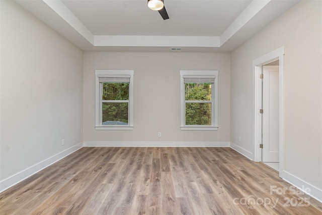 empty room featuring plenty of natural light, light hardwood / wood-style flooring, and a raised ceiling