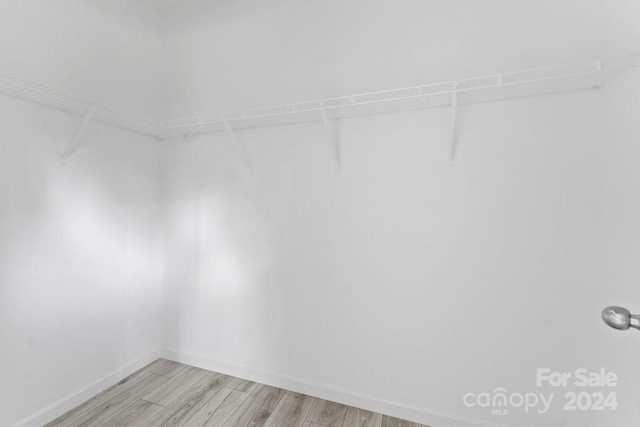 spacious closet featuring light hardwood / wood-style floors