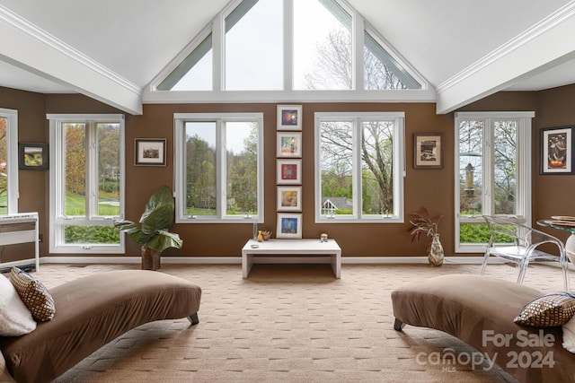 carpeted bedroom featuring multiple windows, ornamental molding, and lofted ceiling