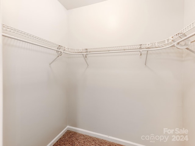 spacious closet with carpet floors