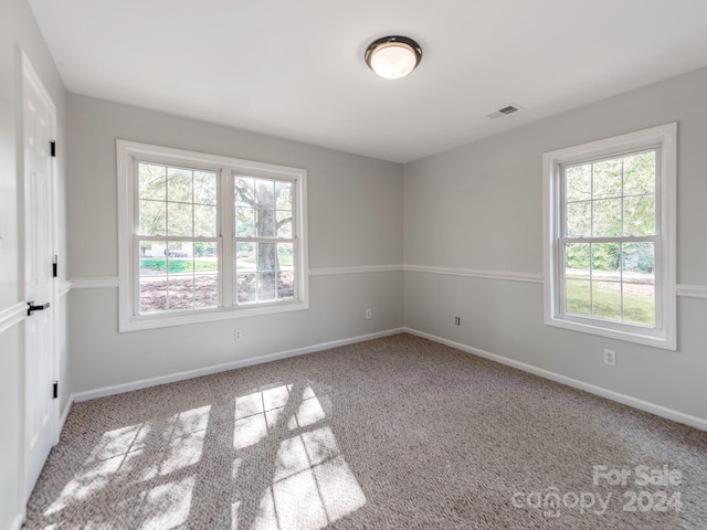 carpeted empty room with a wealth of natural light