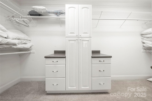 spacious closet featuring light colored carpet