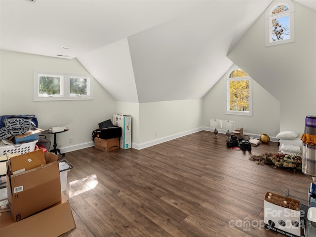 additional living space with lofted ceiling and wood-type flooring