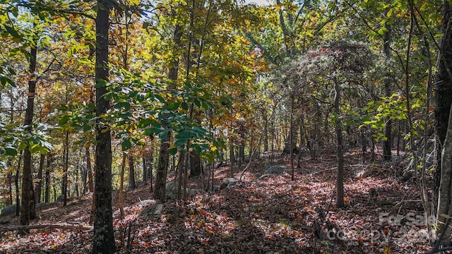 2274 Sierra Trace Rd Unit 44, Denton, NC 27239