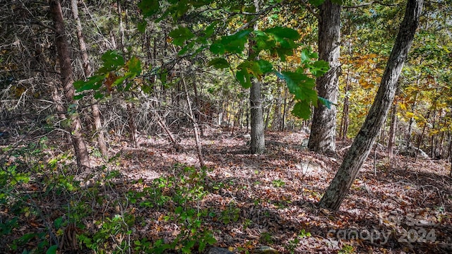 2274 Sierra Trace Rd Unit 44, Denton, NC 27239