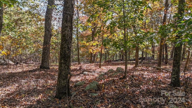 2274 Sierra Trace Rd Unit 44, Denton, NC 27239