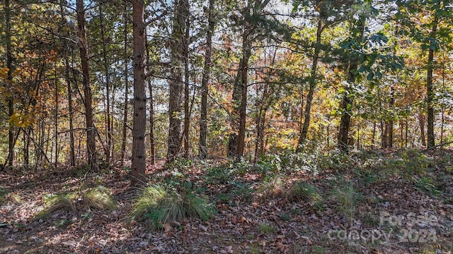 2274 Sierra Trace Rd Unit 44, Denton, NC 27239