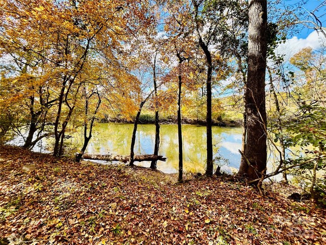 0 Curlee Rd, Polkton, NC 28135 - photo 2