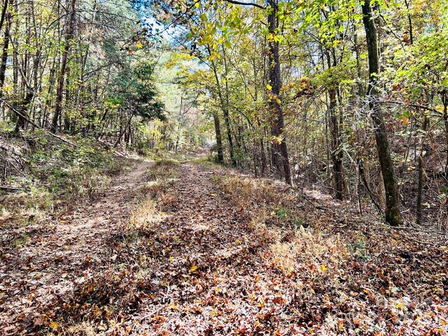 0 Curlee Rd, Polkton, NC 28135 - photo 4