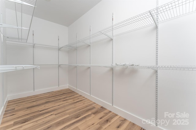 walk in closet featuring light wood-style flooring