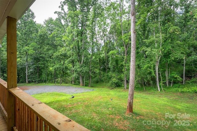 1585 S Main St, Mars Hill, NC 28754 - photo 33