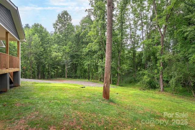 1585 S Main St, Mars Hill, NC 28754 - photo 37