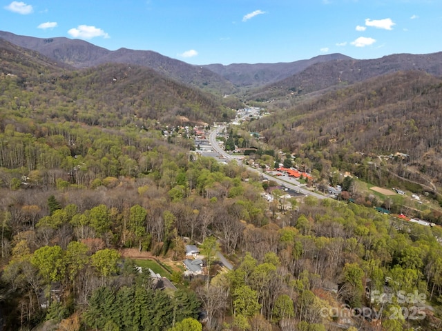 bird's eye view with a view of trees and a mountain view