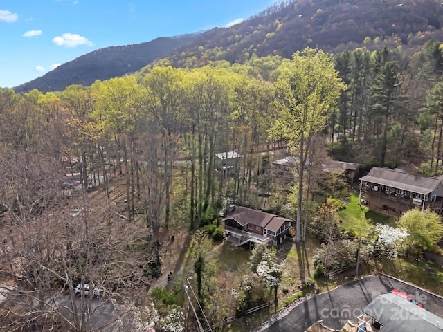 property view of mountains with a wooded view