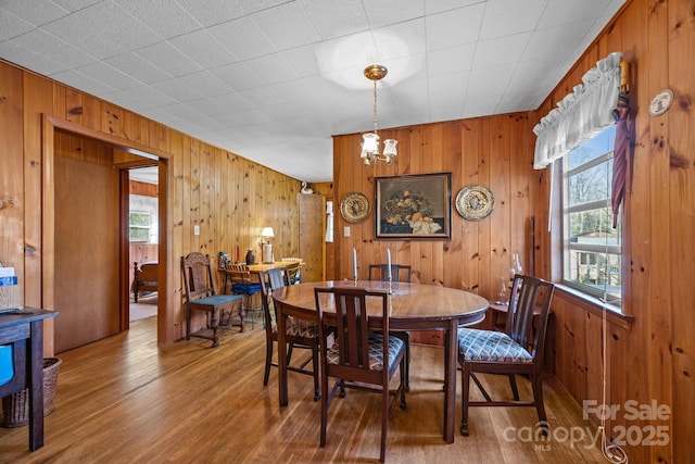dining room with wooden walls, wood finished floors, a healthy amount of sunlight, and a chandelier