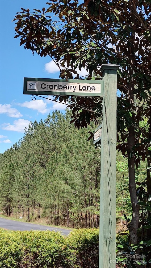 0 Cranberry Ln Unit 110, Mooresboro, NC 28114