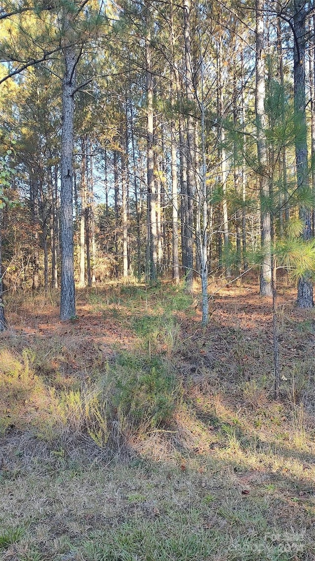 0 Cranberry Ln Unit 110, Mooresboro, NC 28114