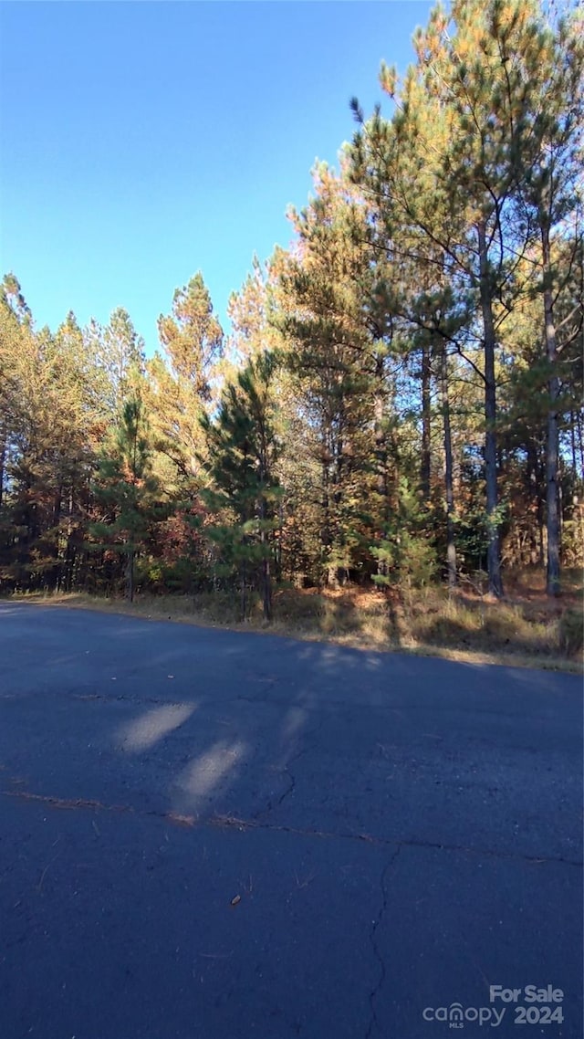 0 Cranberry Ln Unit 110, Mooresboro, NC 28114