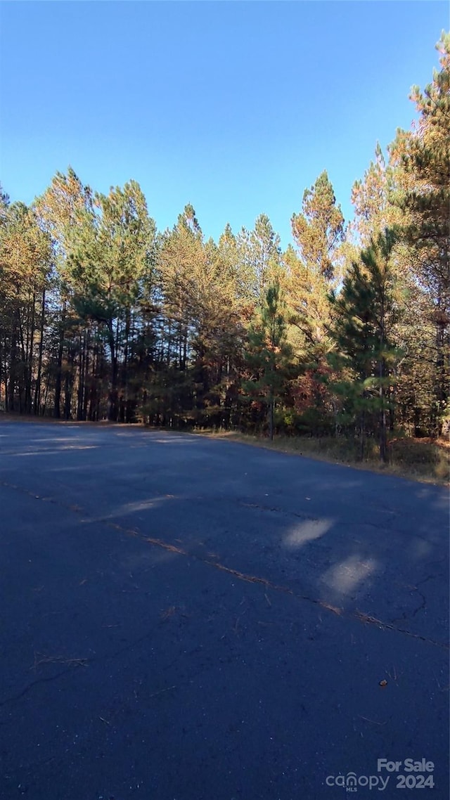 0 Cranberry Ln Unit 110, Mooresboro, NC 28114