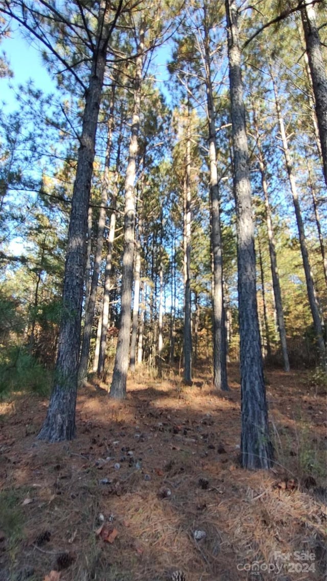 0 Cranberry Ln Unit 110, Mooresboro, NC 28114