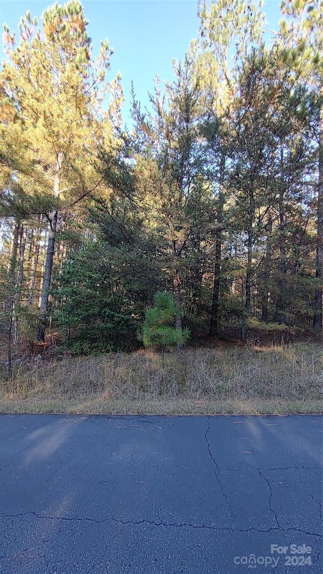 0 Cranberry Ln Unit 110, Mooresboro, NC 28114