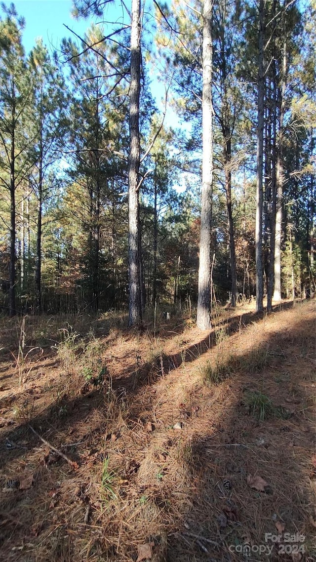 0 Cranberry Ln Unit 110, Mooresboro, NC 28114