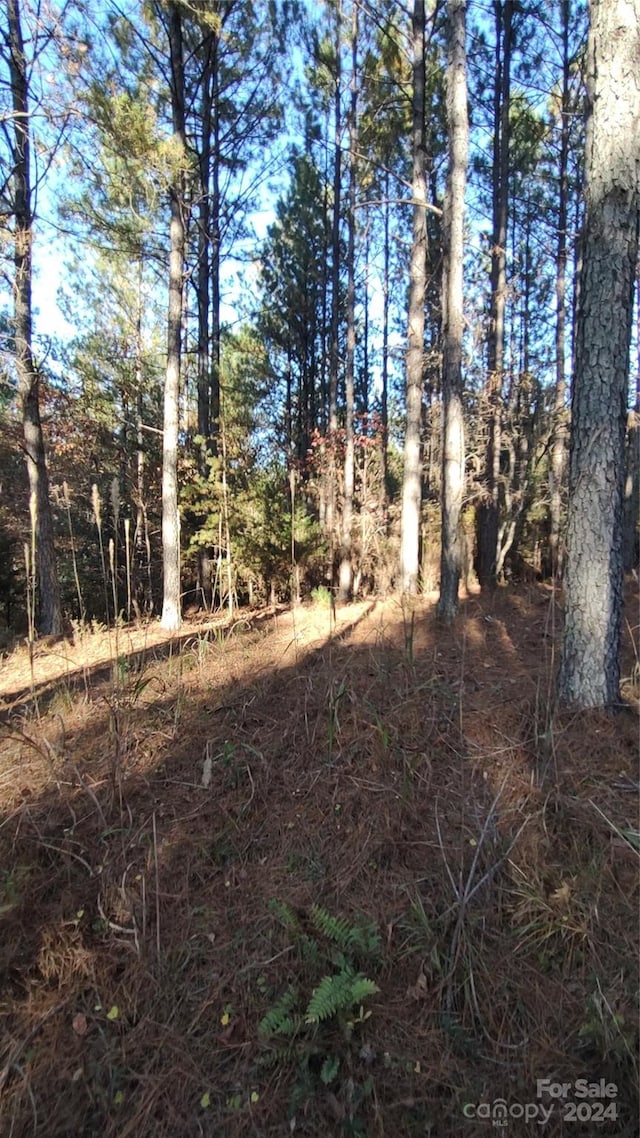 0 Cranberry Ln Unit 110, Mooresboro, NC 28114