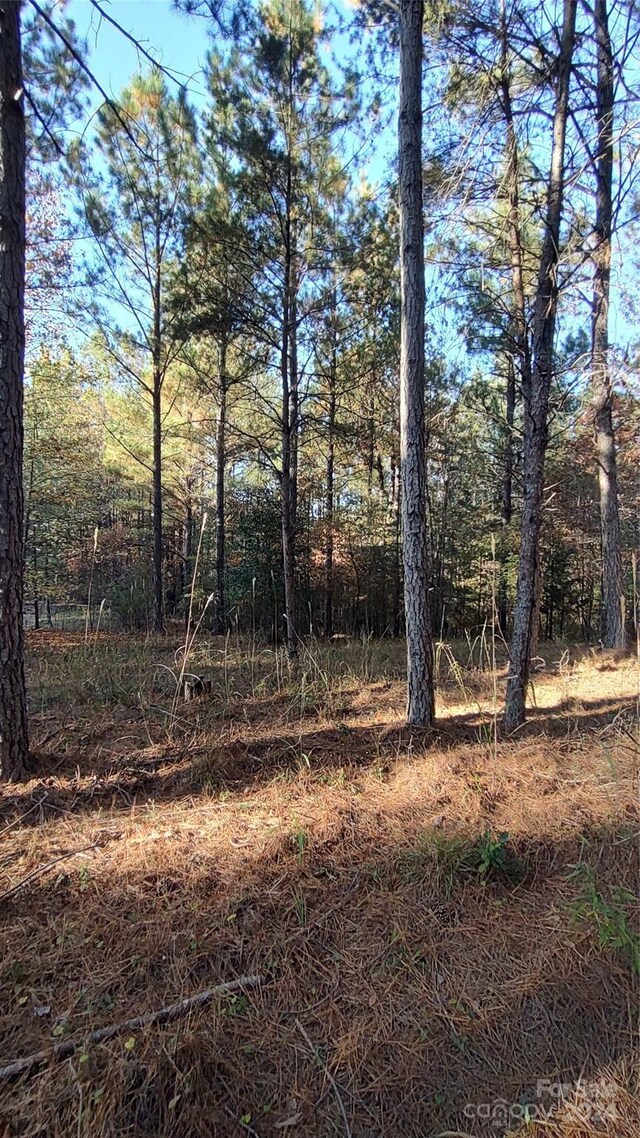 0 Cranberry Ln Unit 110, Mooresboro, NC 28114