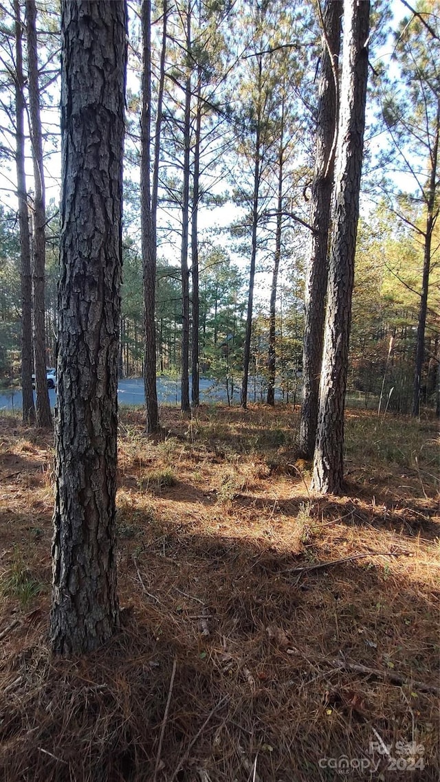 0 Cranberry Ln Unit 110, Mooresboro, NC 28114