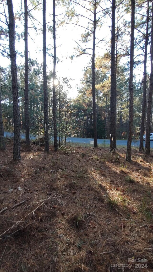0 Cranberry Ln Unit 110, Mooresboro, NC 28114