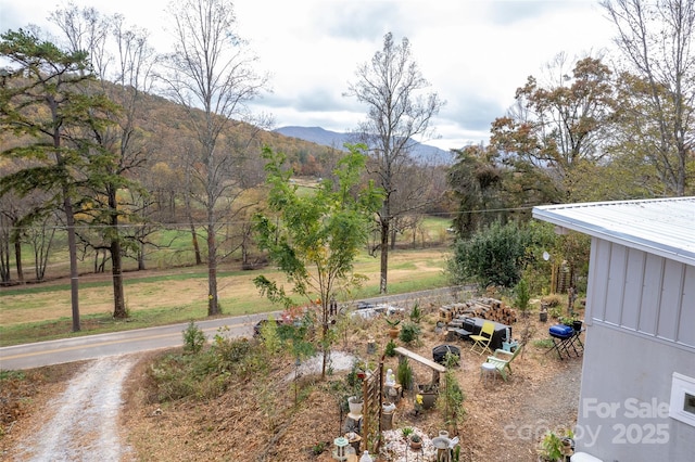 view of yard with a mountain view