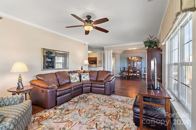 living room featuring ornamental molding, dark hardwood / wood-style floors, and ceiling fan with notable chandelier