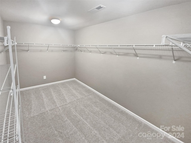 spacious closet featuring carpet floors