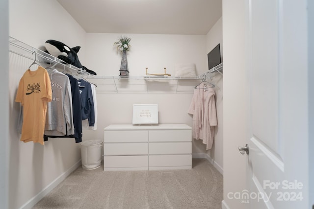 spacious closet featuring light colored carpet