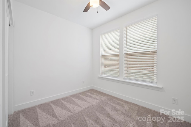 4018 Capital Ridge Ct, Charlotte, NC 28205 - photo 17