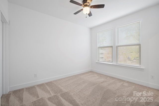 4018 Capital Ridge Ct, Charlotte, NC 28205 - photo 30