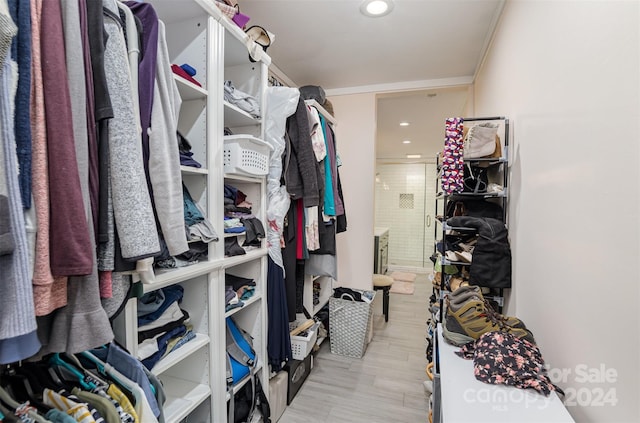 spacious closet featuring light wood-type flooring