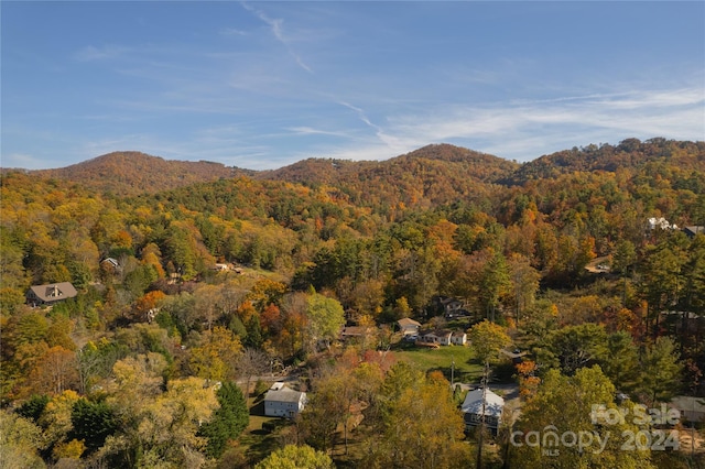 13 Bassett Rd, Asheville NC, 28804 land for sale