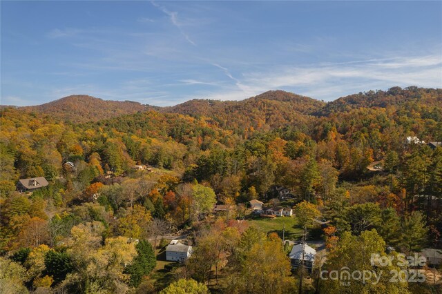 13 Bassett Rd, Asheville, NC 28804 - photo 4