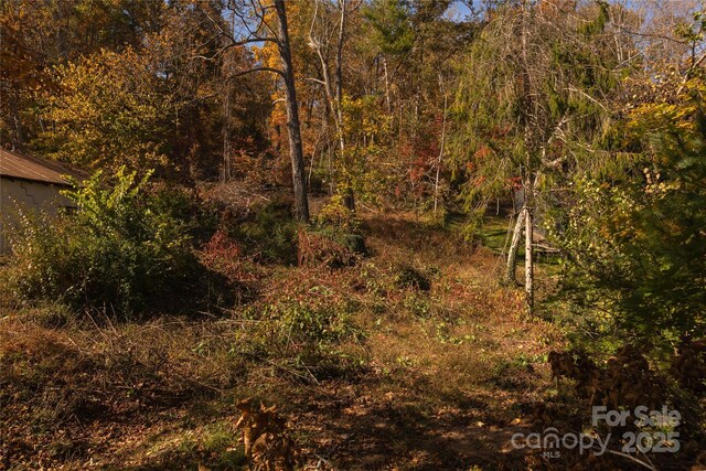 13 Bassett Rd, Asheville, NC 28804 - photo 7