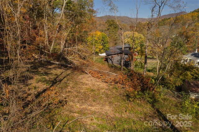 13 Bassett Rd, Asheville, NC 28804 - photo 8
